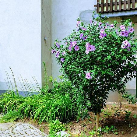 Room In City Center Halle With Shared Bathroom & Kitchen - Free Wifi, Netflix, Ipad & Ground Floor Buitenkant foto